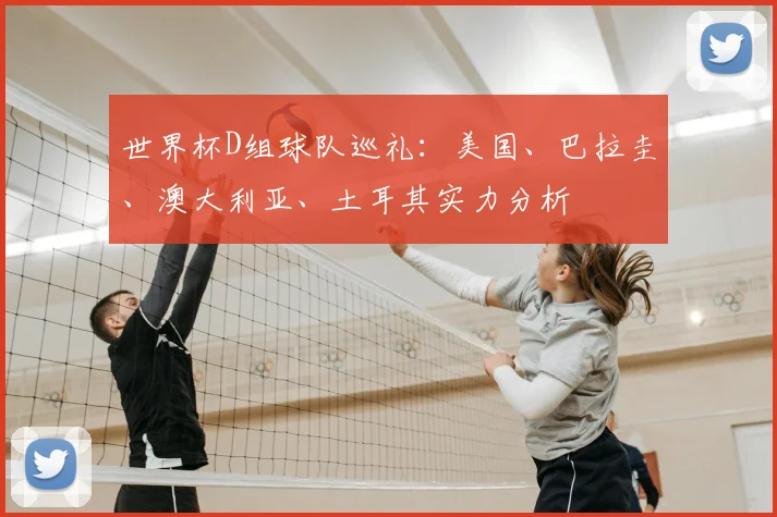 世界杯D组球队巡礼：美国、巴拉圭、澳大利亚、土耳其实力分析
