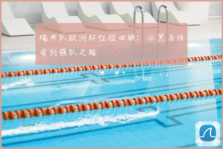 瑞典队欧洲杯征程回顾：从黑马传奇到强队之路