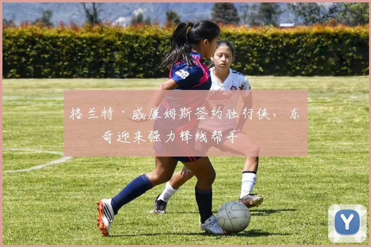 格兰特·威廉姆斯签约独行侠,东契奇迎来强力锋线帮手